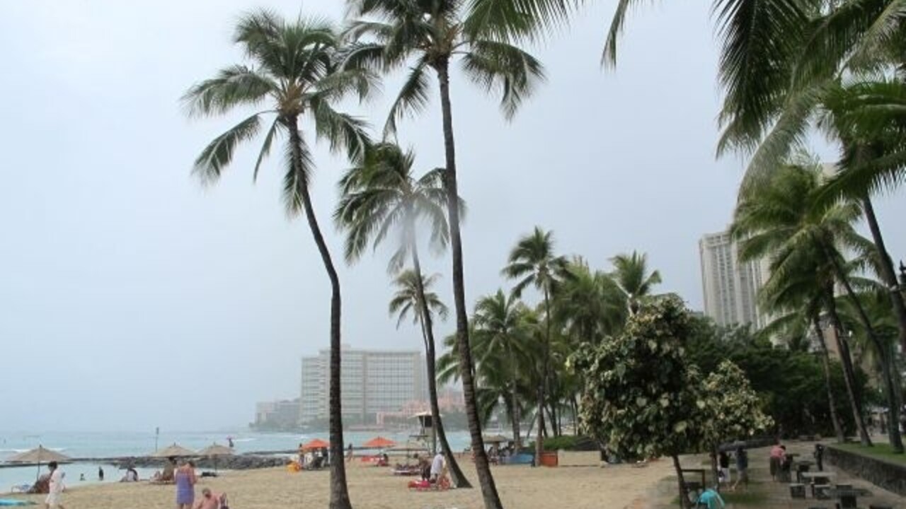 more pláž palma palmy honolulu (SITA)
